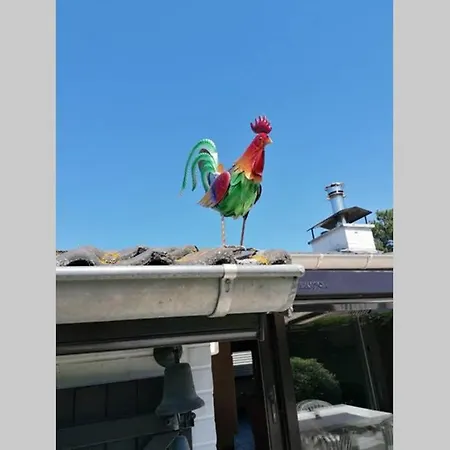 Sprookjesachtig Verblijven In Sunparks *